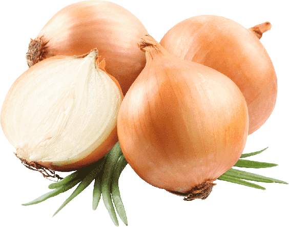 Brown Onion 500g - Quickmart